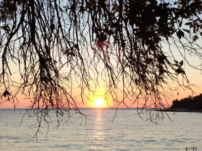 Orsera, tramonto tra i pini – Croazia