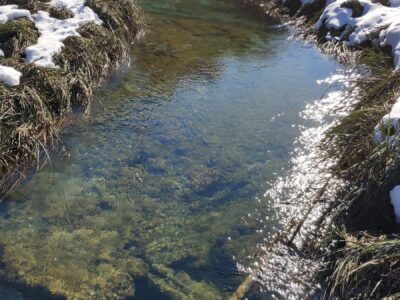 Laghi di Plitvice, ruscello cristallino – Croazia