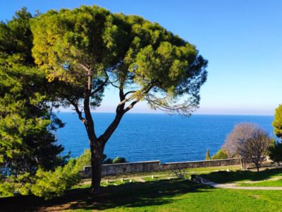 Rovigno, pineta affacciata sul mare – Croazia